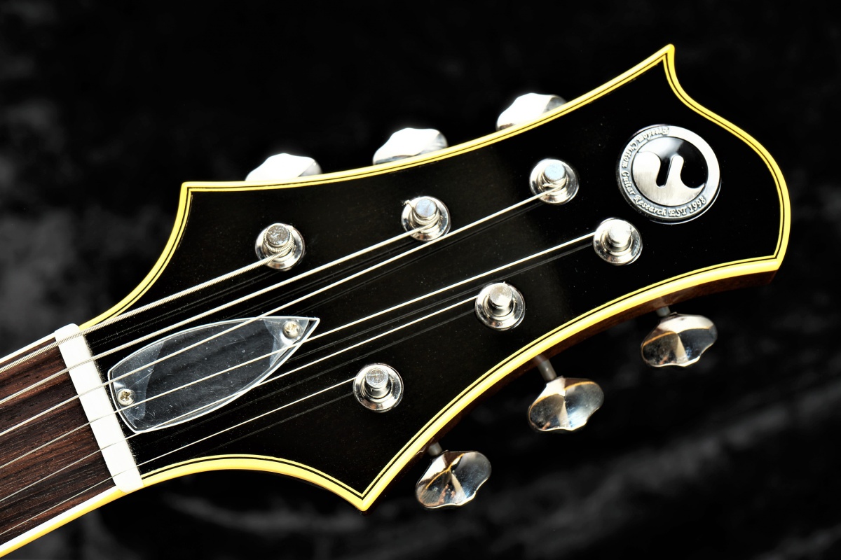 最初期freedom custom guitar research RRH-12 - loscastillos.com.do