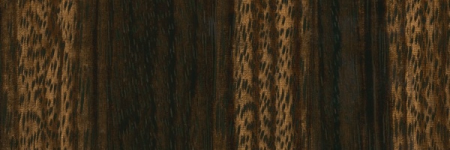 Brown Transparent - Zebra Wood