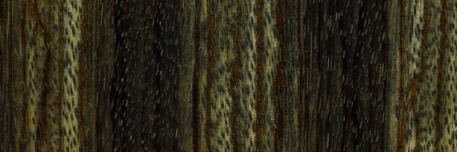 Black Transparent - Zebra Wood