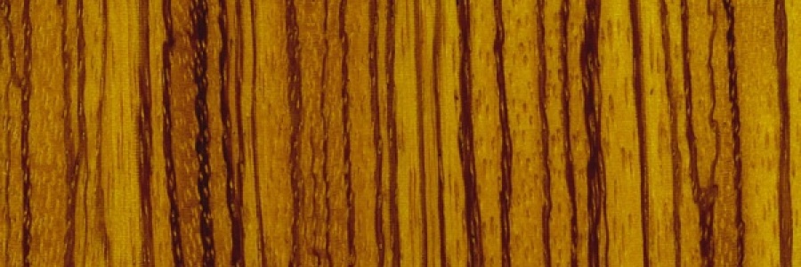 VYN Transparent - Zebra Wood