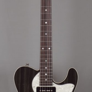 TE Pepper Semi Hollow_Black Trans.