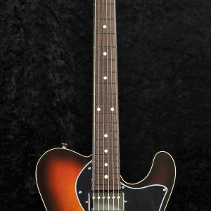 TE Pepper Semi Hollow_Plywood_CSSB