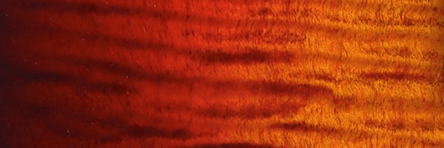 紅葉 Kouyou (KY) 紅葉 Kouyou (KY)